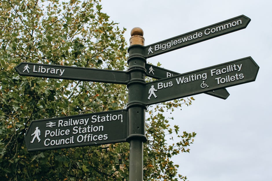 Haringey council permits for Finsbury Park moves